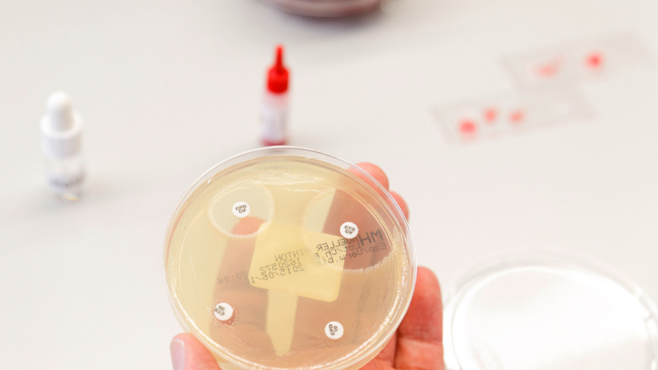 Jenaer Standards werden bundesweite Leitlinie