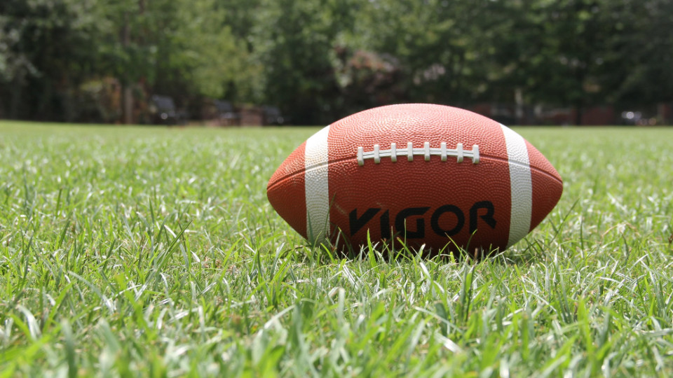 Jenaer Hanfrieds starten Ende April in die Saison