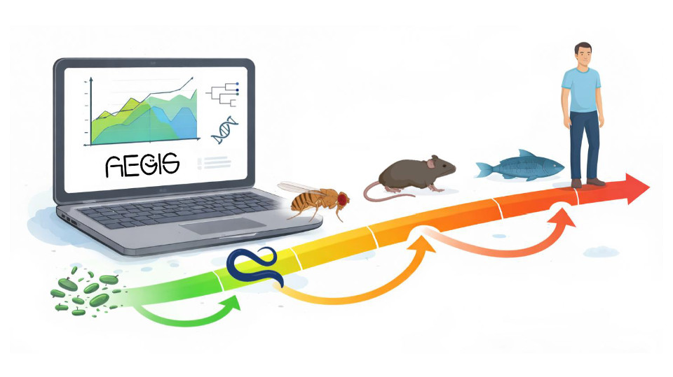 Die Evolution bestimmt das Tempo des Alterns