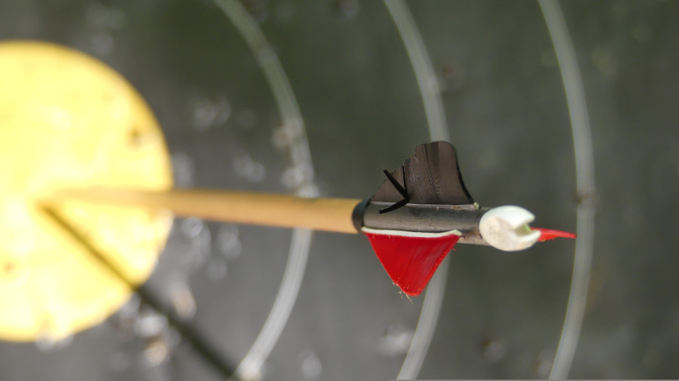 Tag des Sports am 2. Mai