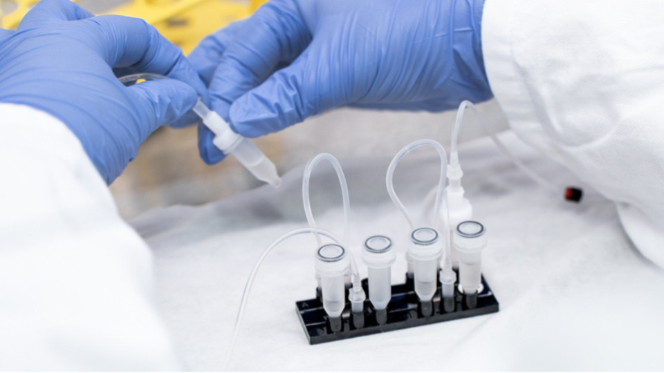 Dynamic42 und EPO Hirntumorforschung verbessern