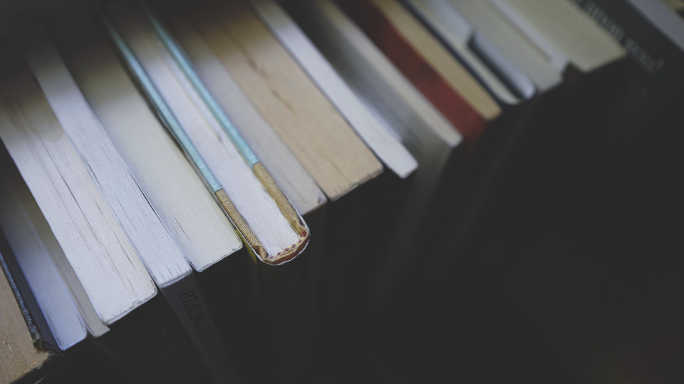 Literaturreihe von Hein zu Heine