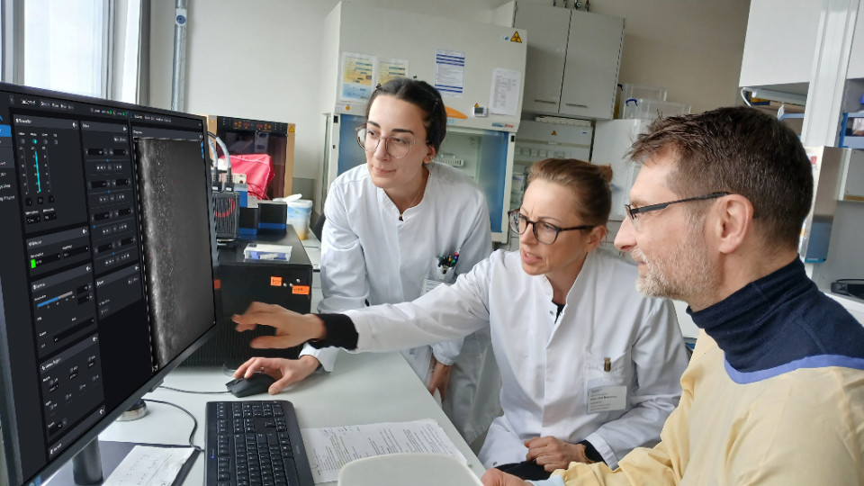 Schlagkräftiges Team gegen resistente Biofilme