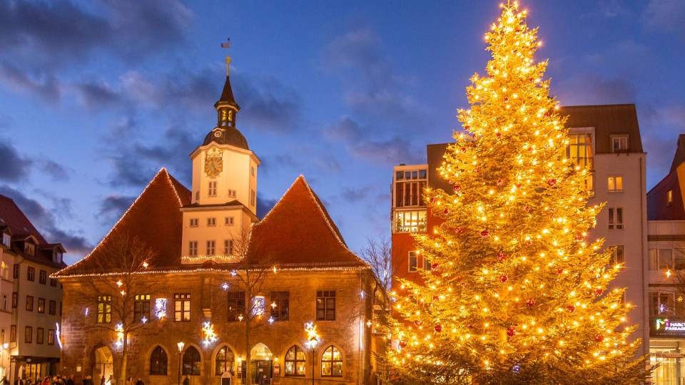 Jena sucht Weihnachtsbaum 