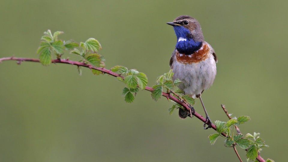 Langer Tag der Natur lockt mit mehr als 80 Veranstaltungen