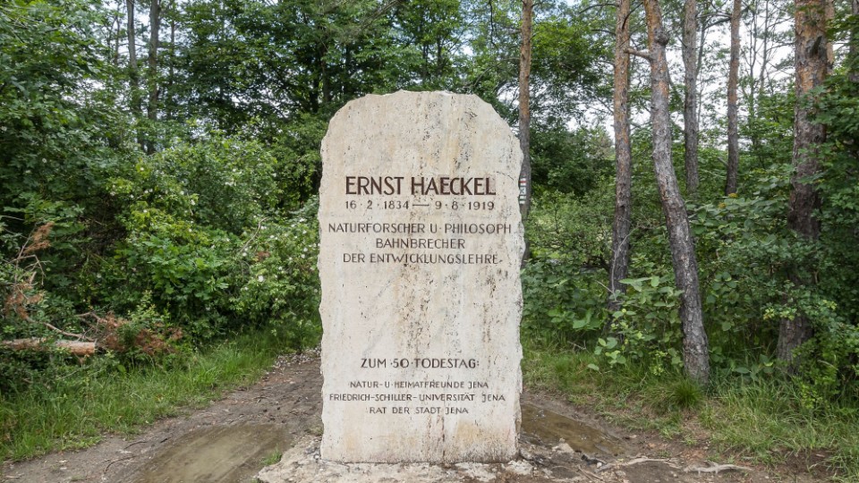 Stadt Jena betreut hunderte Gedenk- und Erinnerungsorte