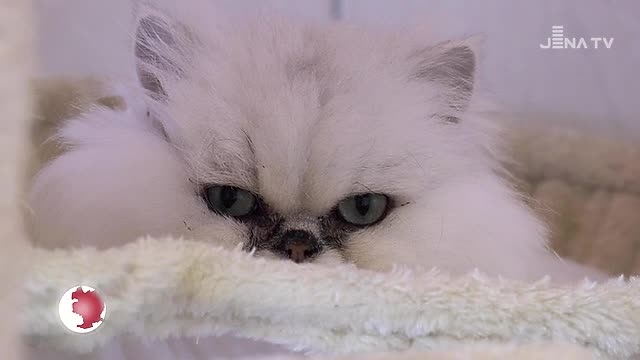 JenaJournal vom 28.01.2020