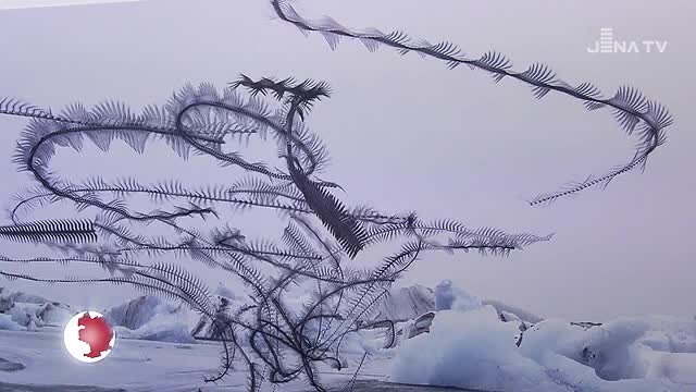 JenaJournal vom 14.02.2020