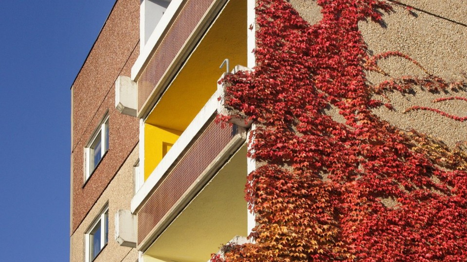 Gesucht-werden-Geschichten-zum-Plattenbau