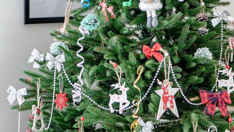 Geklauter-Weihnachtsbaum-f-rs-Fest