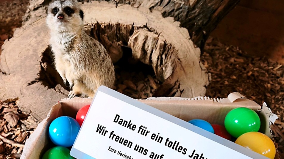 Fast-100-000-Besucher-und-Rekord-bei-Tierpatenschaften