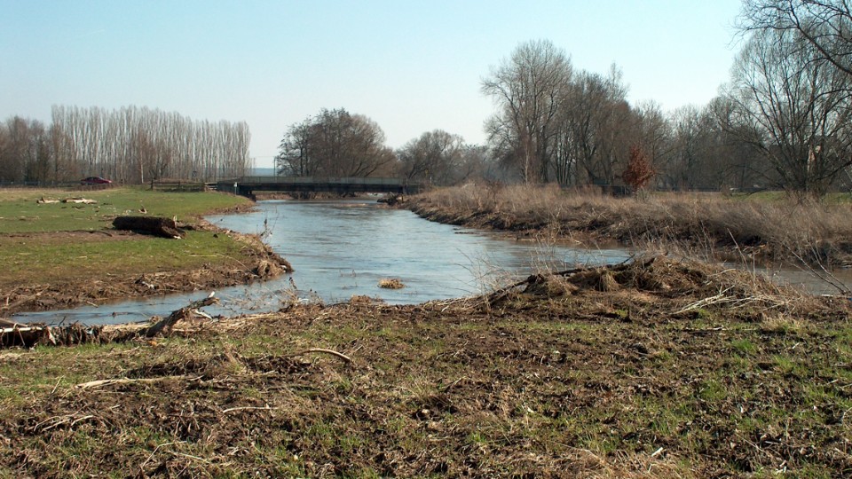 Ferien-Dem-Biber-auf-der-Spur