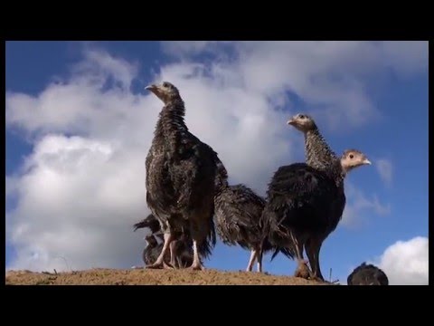 Wirtschaftsregion Westmecklenburg Wirtschaftsregion Westmecklenburg