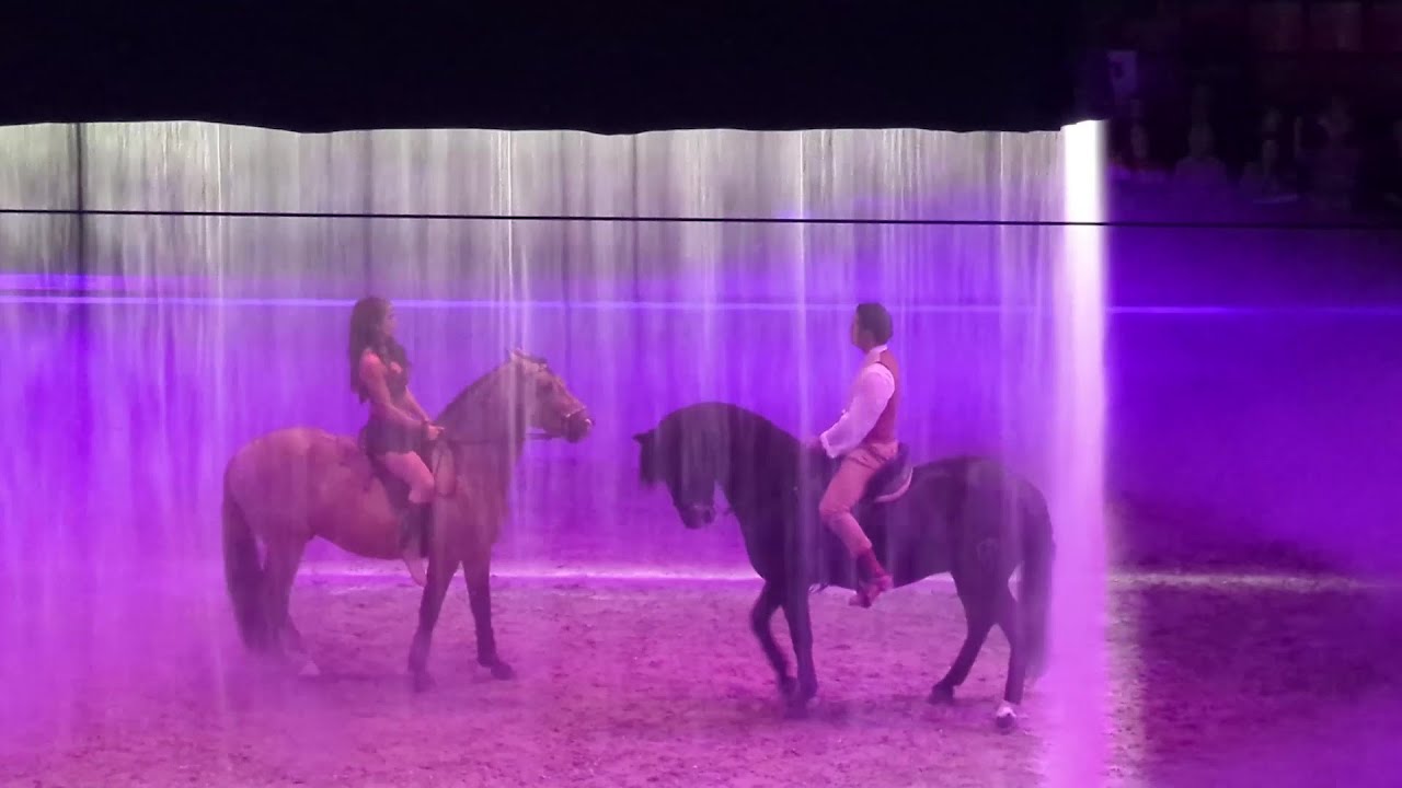 Weltweit bekannte Pferdeshow kommt nach Schwerin