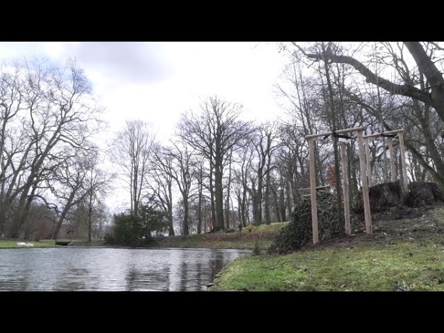 Eingepflanzt: 47 neue Bäume für den schweriner Schlossgarten