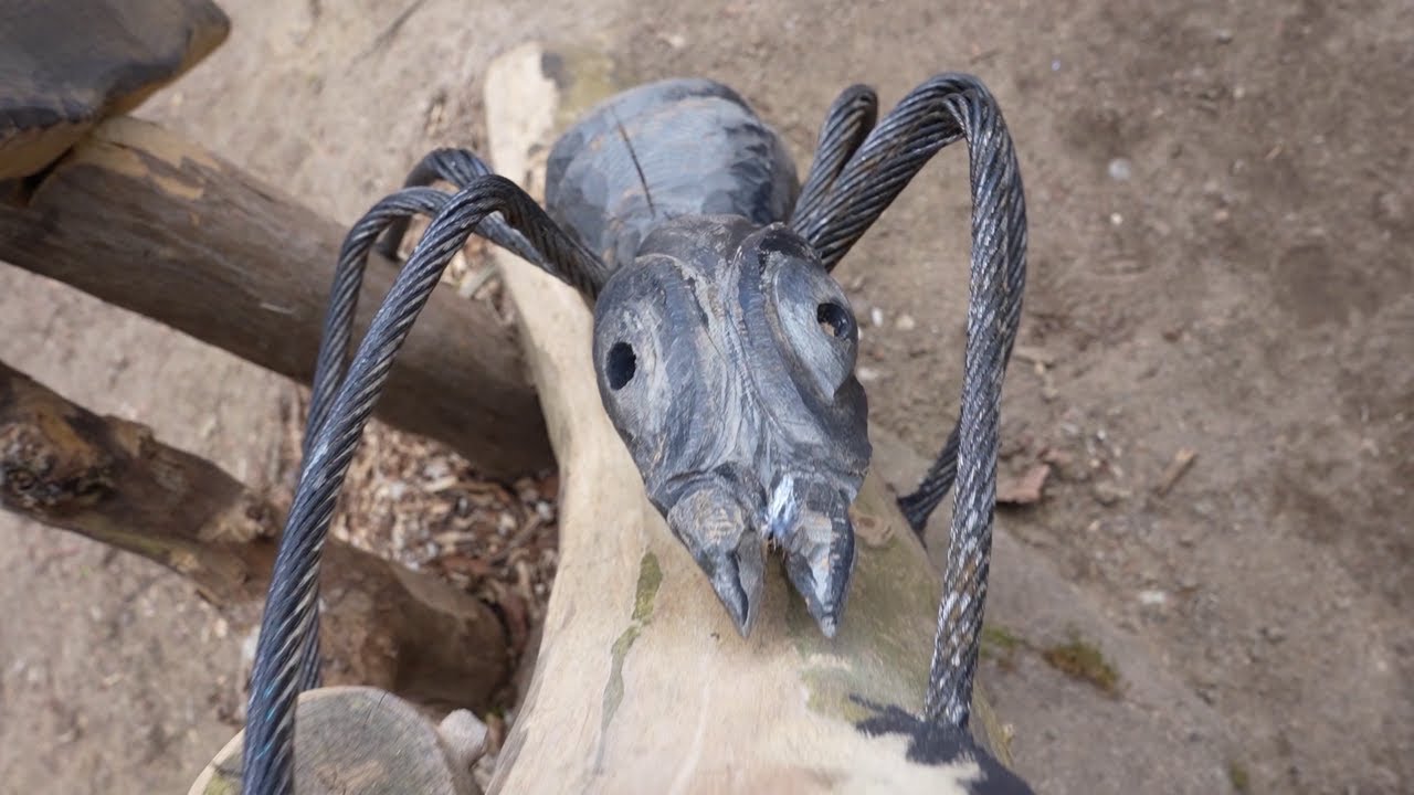 Von Ameisen und Löwen im Zoo Schwerin
