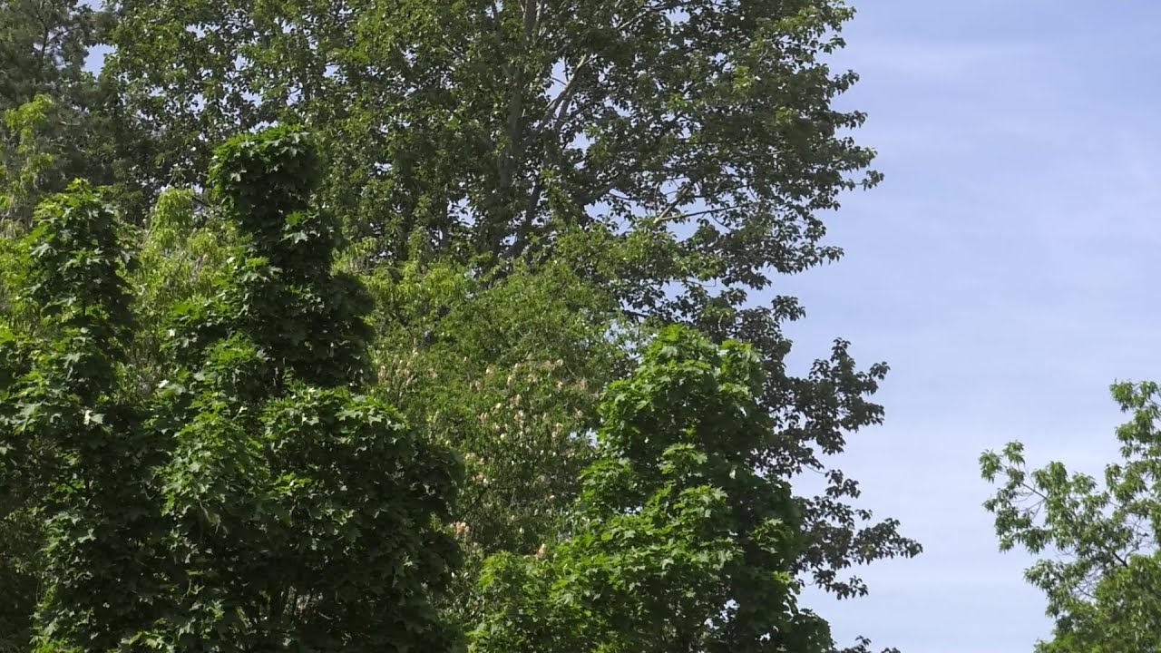 Optimale Bewässerung für Schwerin