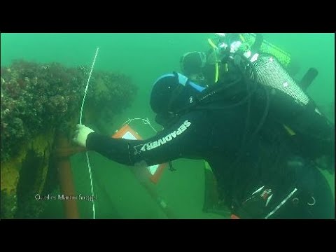 Tauchen an Jahrhunderte alten Schiffswracks – Seminar macht's möglich!