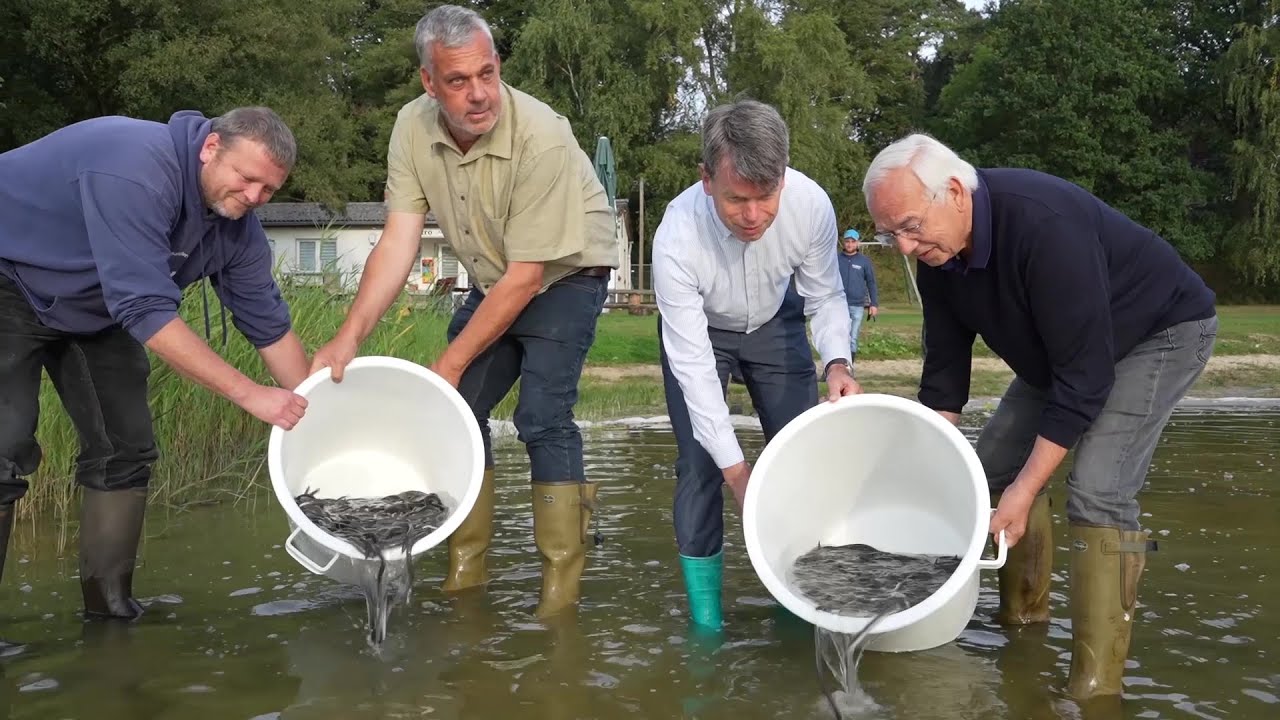 WEMAG unterstützt “Rettet den europäischen Aal”