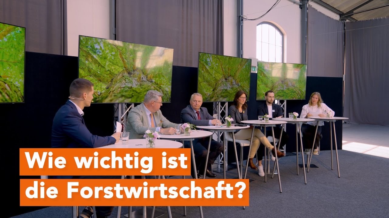 Talk: Ist Holz-Nutzung wirklich Klimaschutz und wie sehen unsere Wälder in MV in Zukunft aus?
