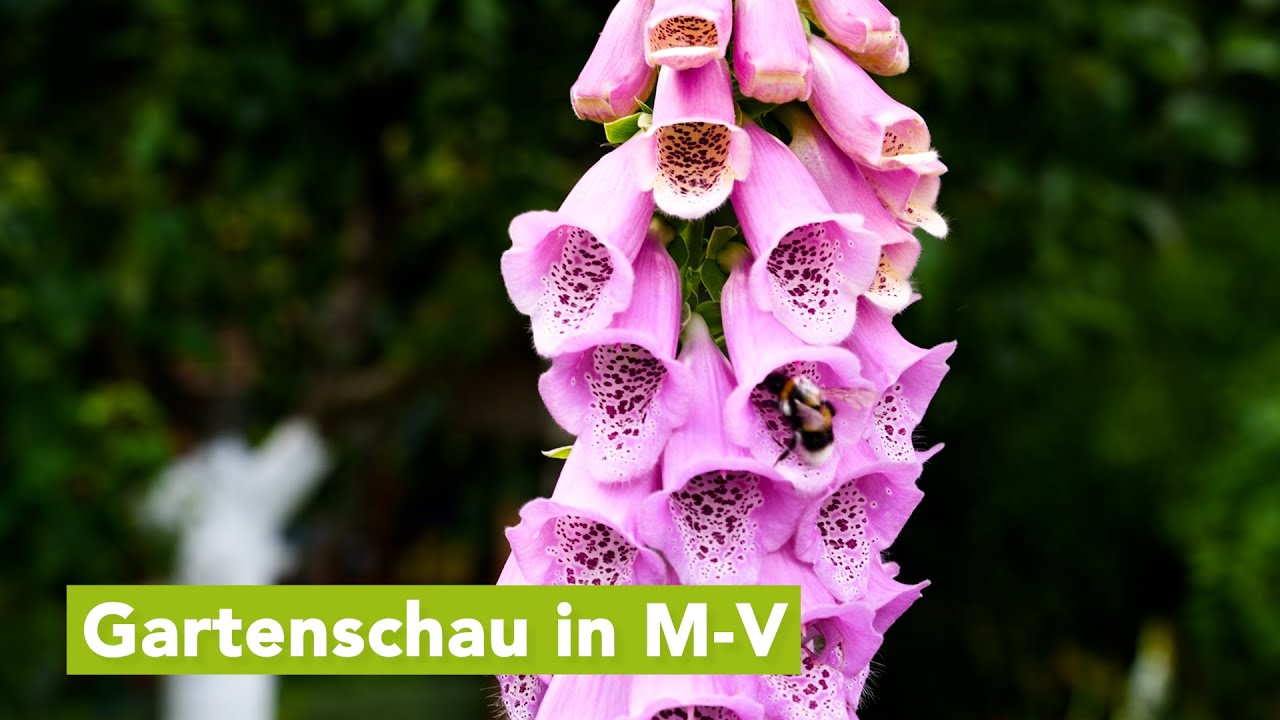 Tag der offenen Gärten M-V