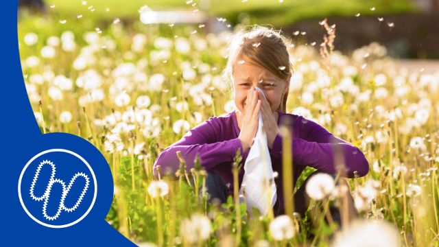 Liegt die Ursache für Allergien im Darm?