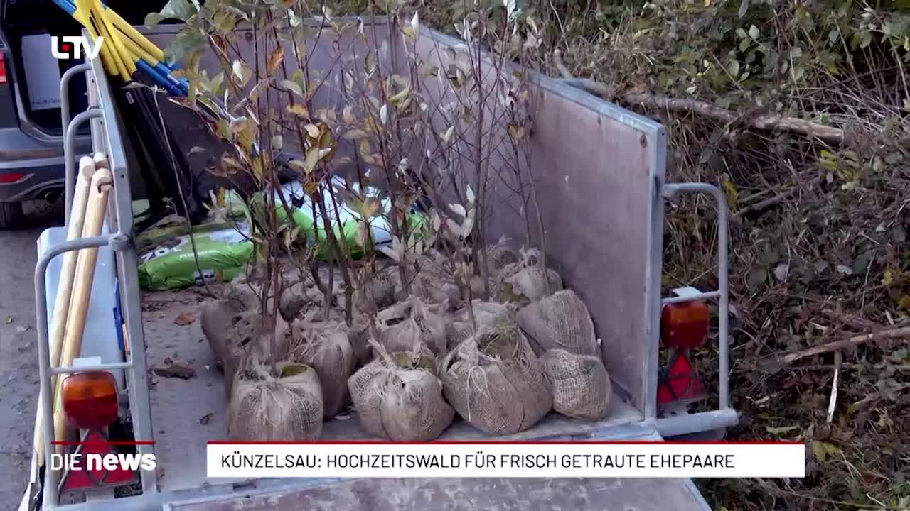 Künzelsau: Hochzeitswald für frisch getraute Ehepaare 