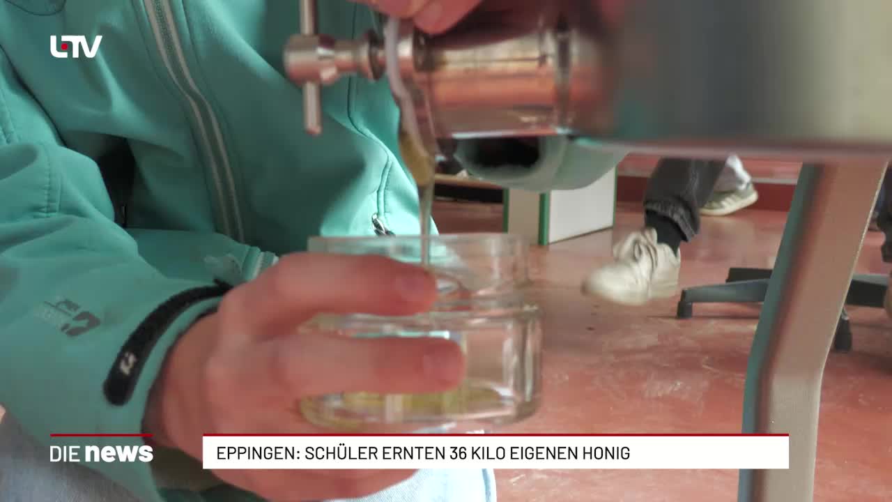 Eppingen: Schüler ernten 36 Kilo eigenen Honig