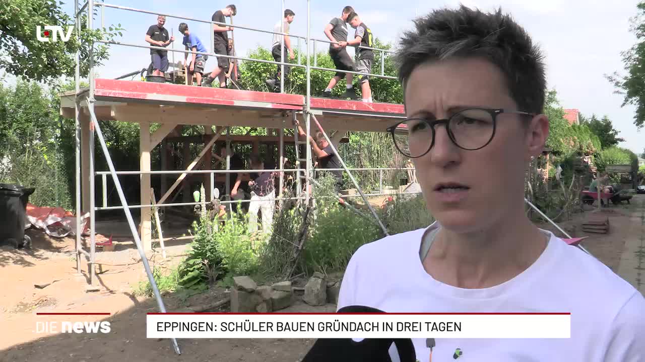 Eppingen: Schüler bauen Gründach in nur drei Tagen