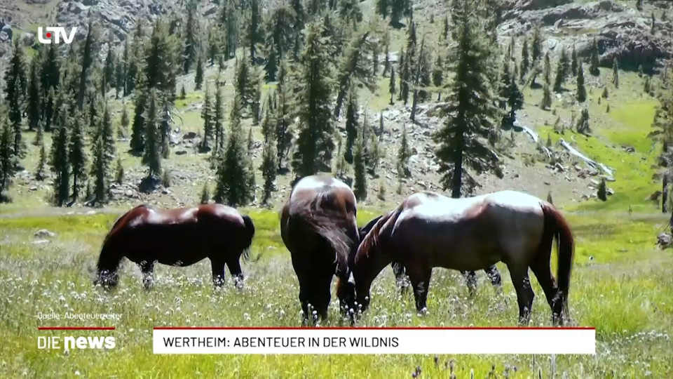 Wertheim: Auf Pferden durch die Welt