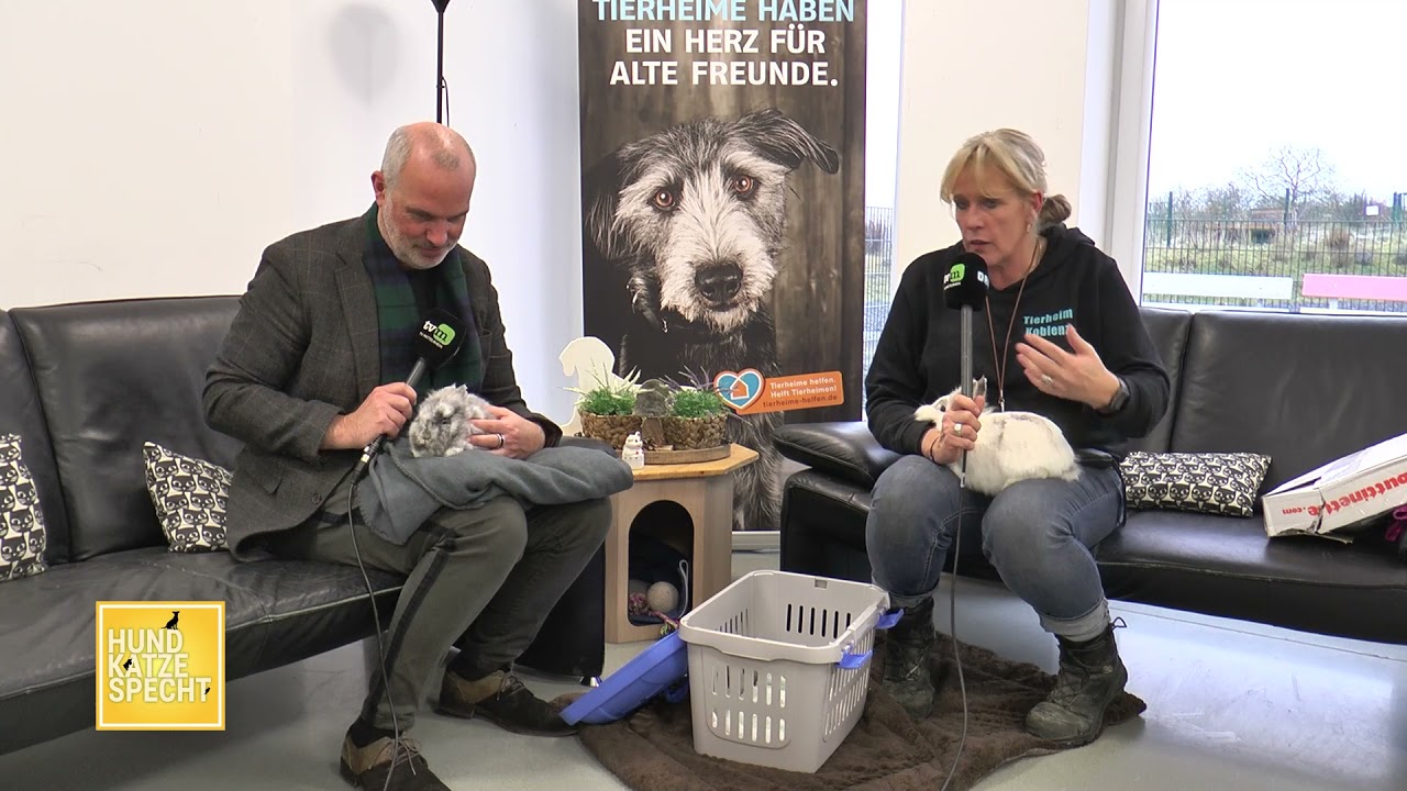 Hund Katze Specht | 20.11.2021