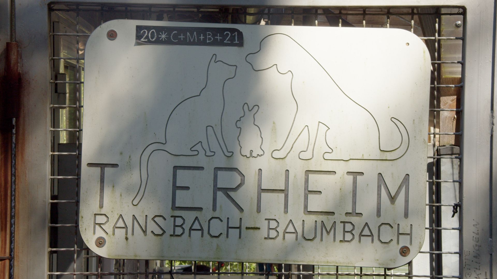 Das Tierheim in Ransbach-Baumbach braucht Ihre Hilfe