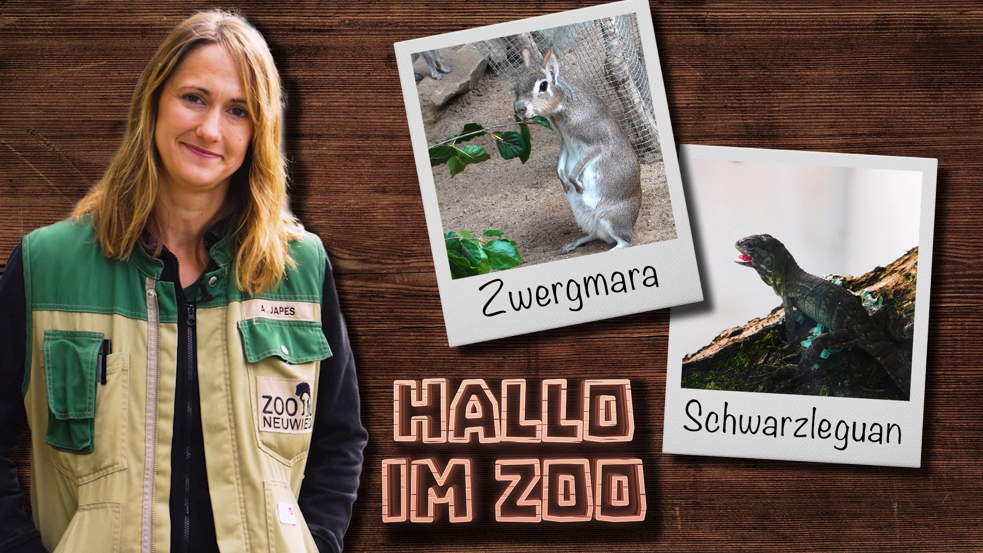 Hallo im Zoo, die neue Tier-Serie aus dem Zoo Neuwied!
