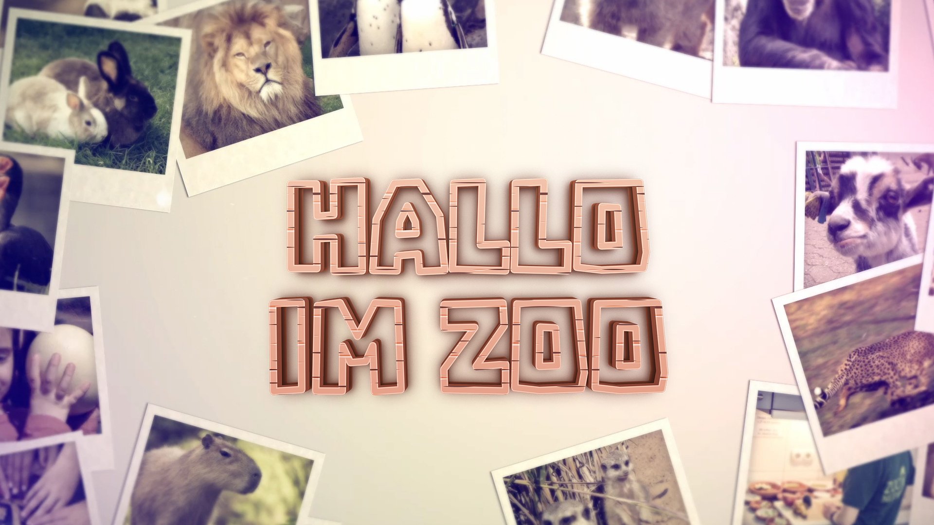 Hallo im Zoo