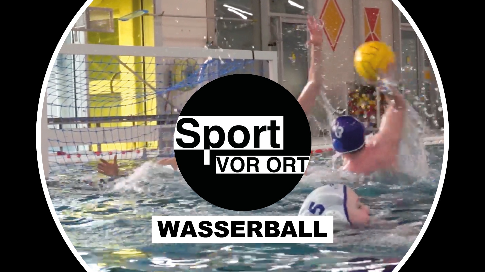 Sport vor Ort - Wasserball