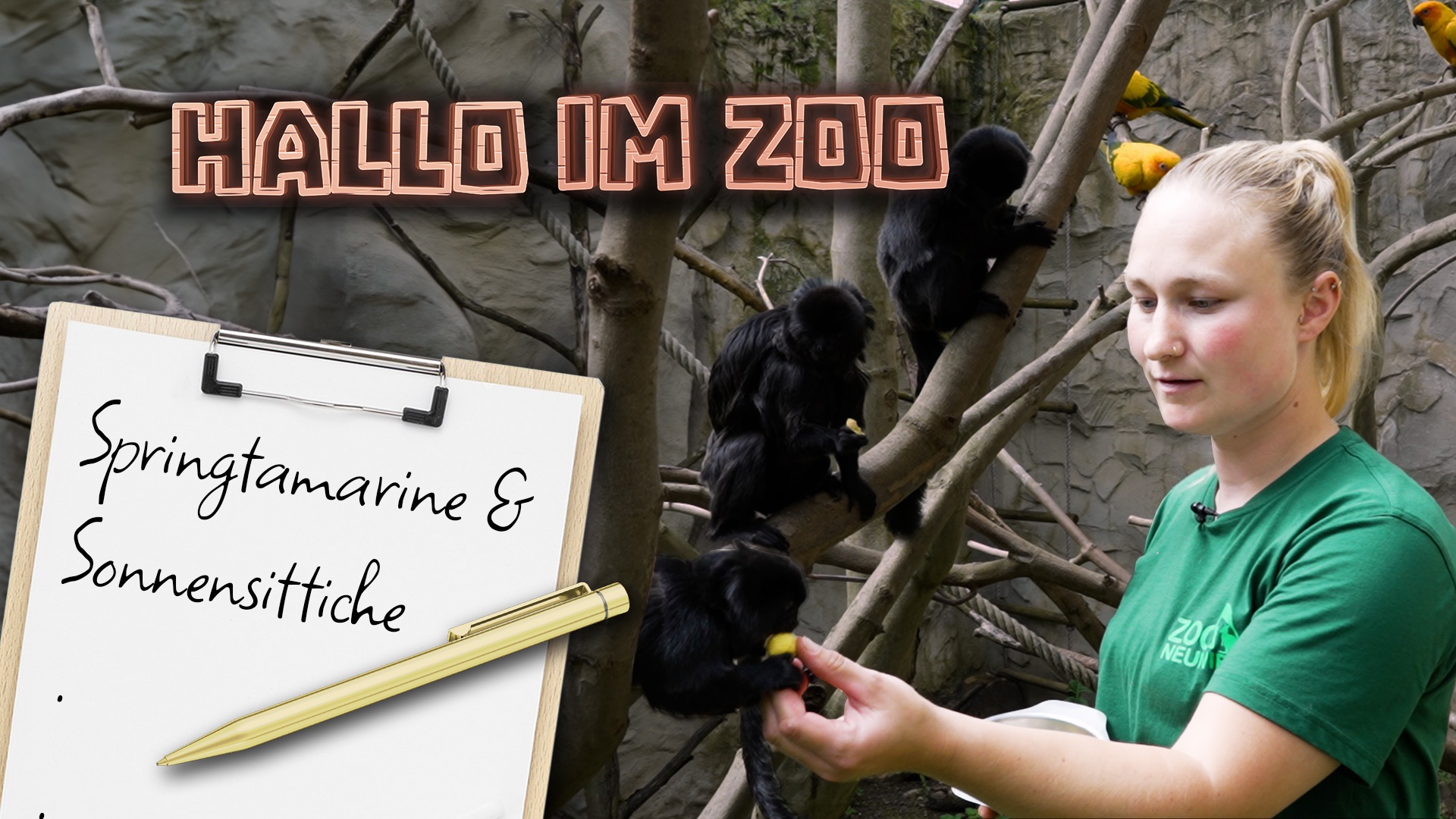 Hallo im Zoo: Springtamarine 