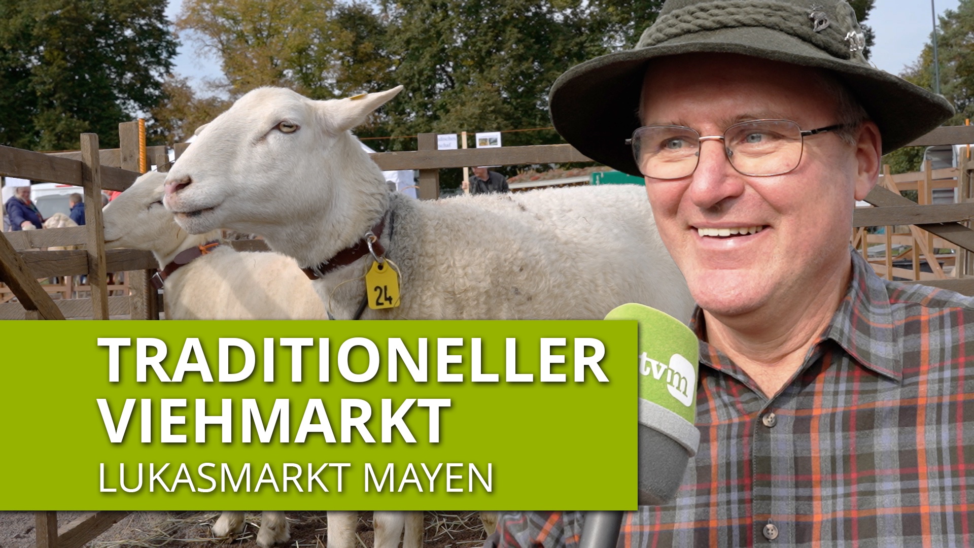 Lukasmarkt in Mayen: Einzigartiger Schafsmarkt zieht Besucher aus Nah und Fern an