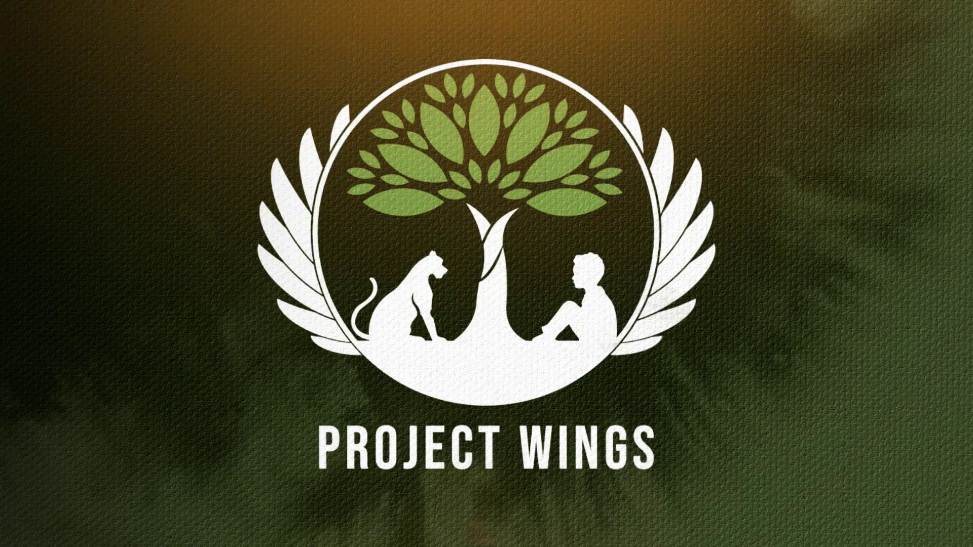 Project Wings