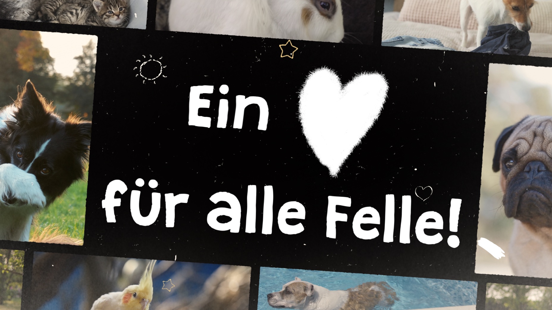 Ein Herz für alle Felle