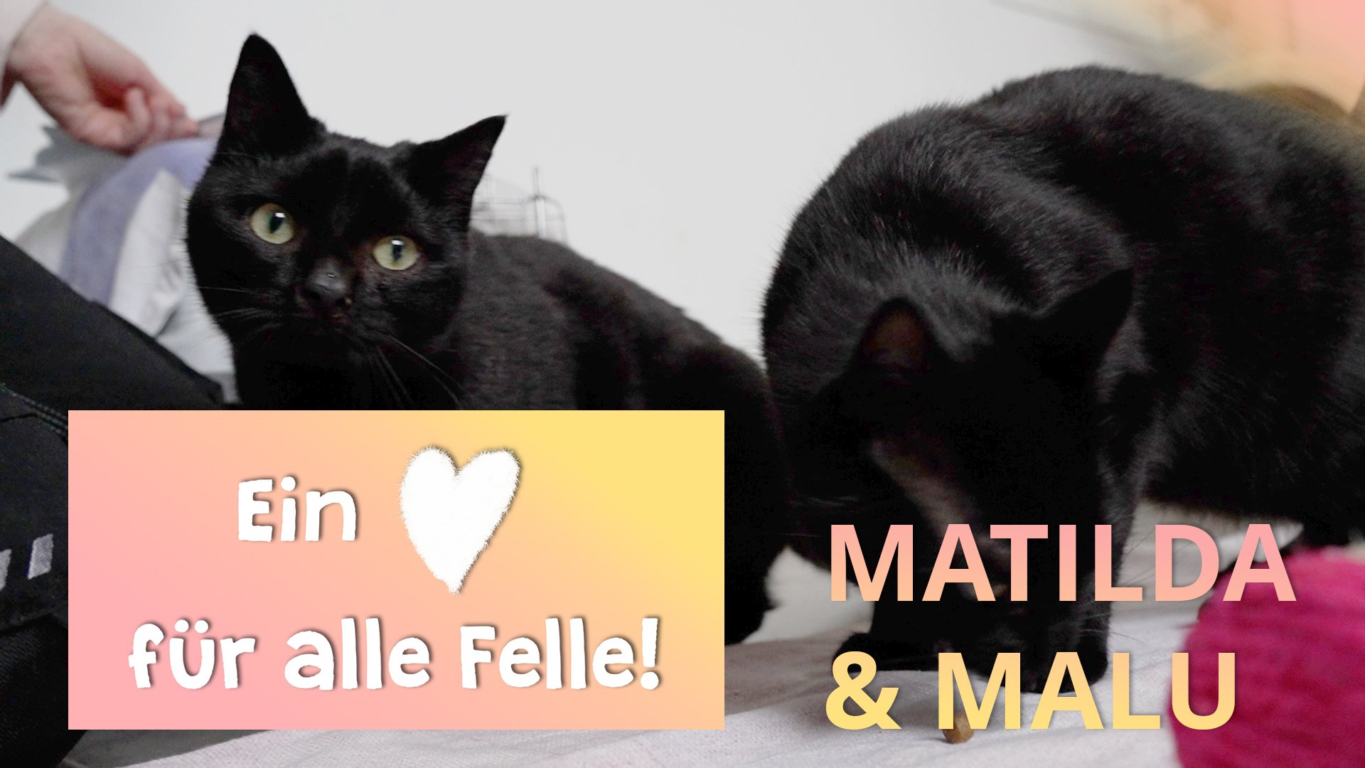 Ein Herz für alle Felle - Mathilda und Malu
