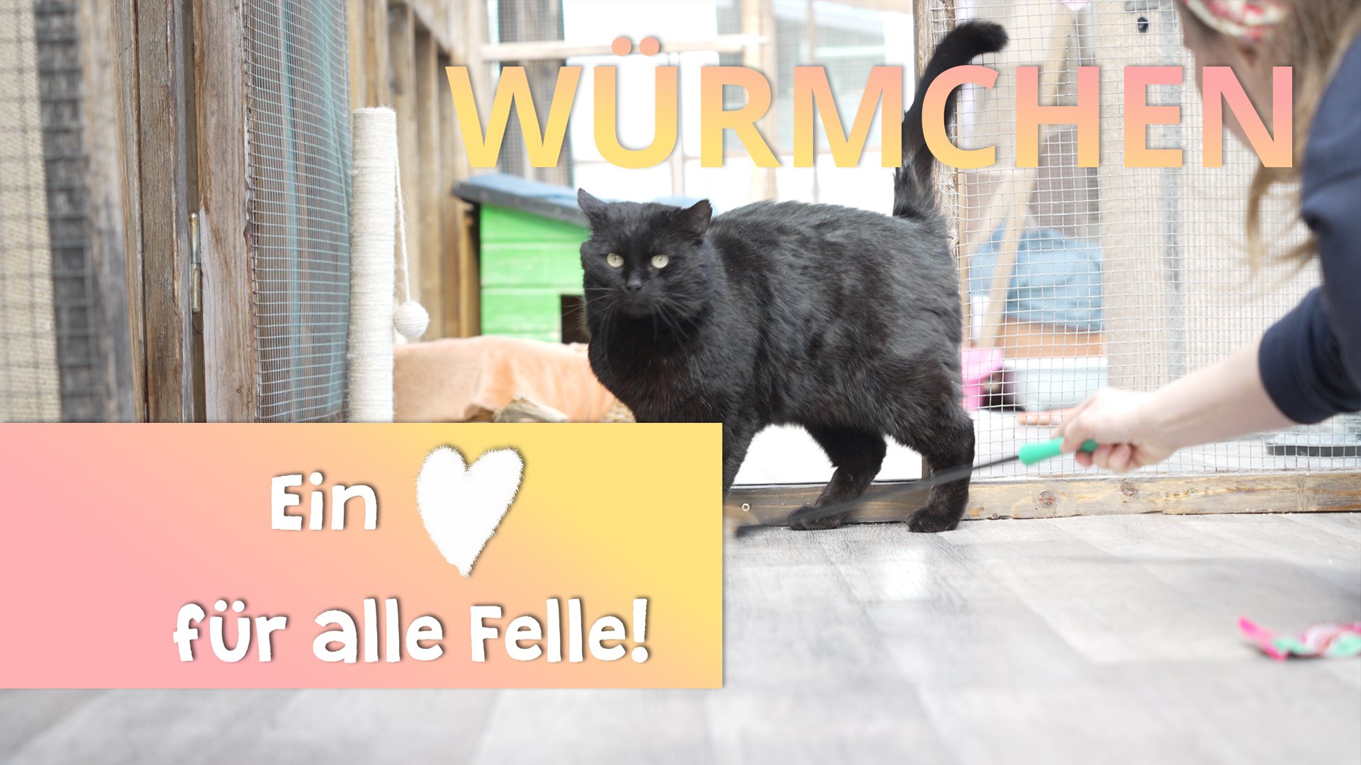 Ein Herz für alle Felle - Würmchen