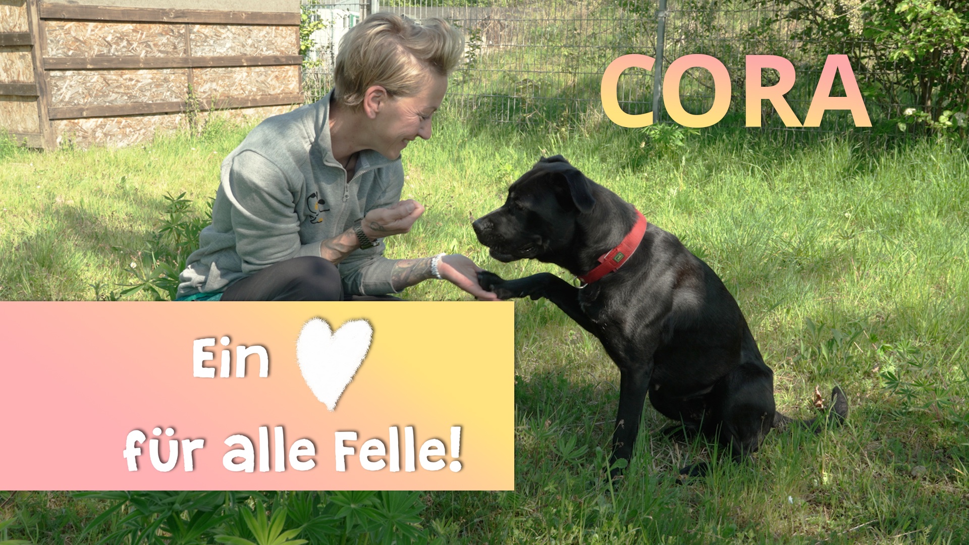 Ein Herz für alle Felle - Cora