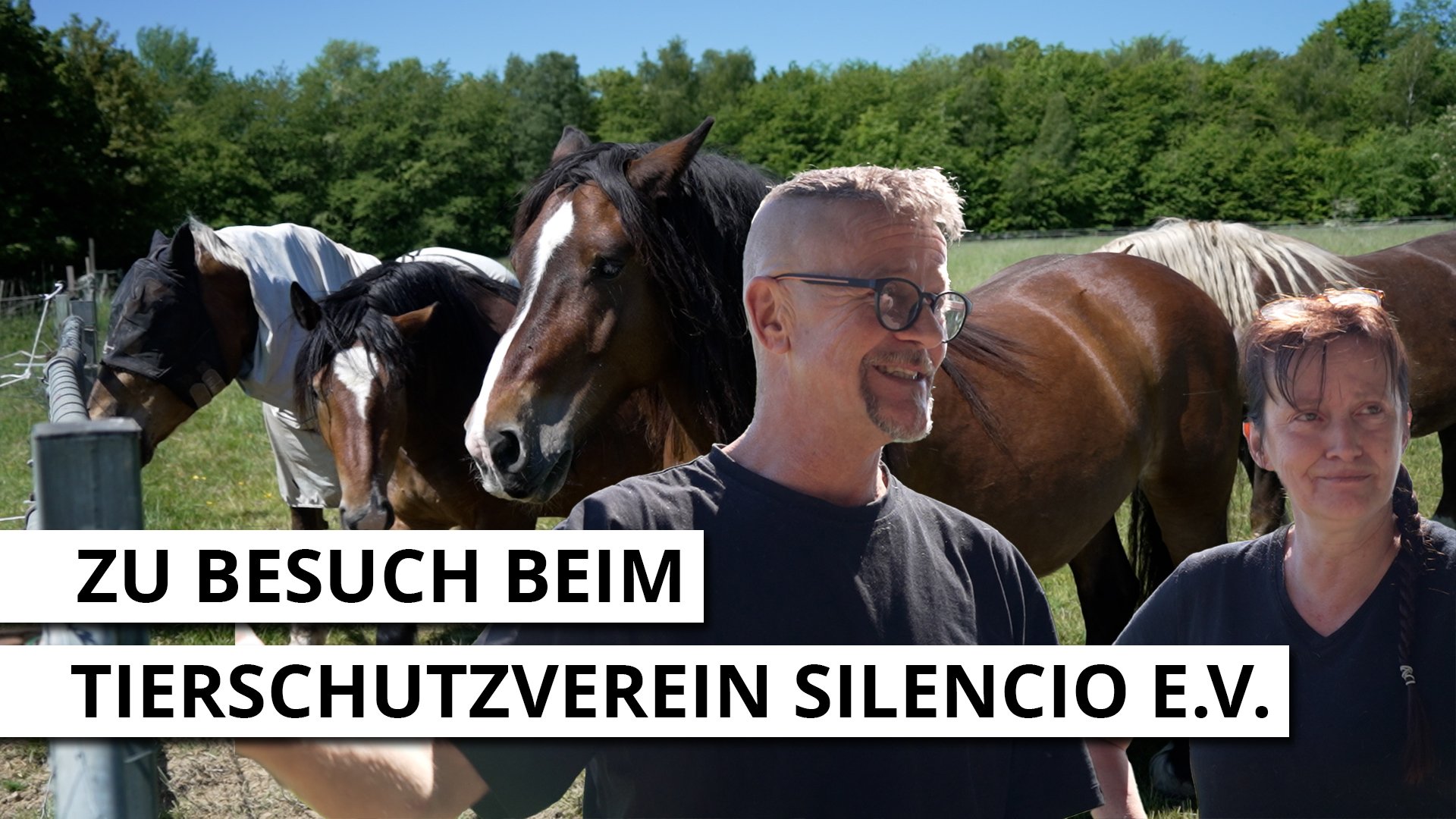 Zu Gast bei Silencio e.V.!