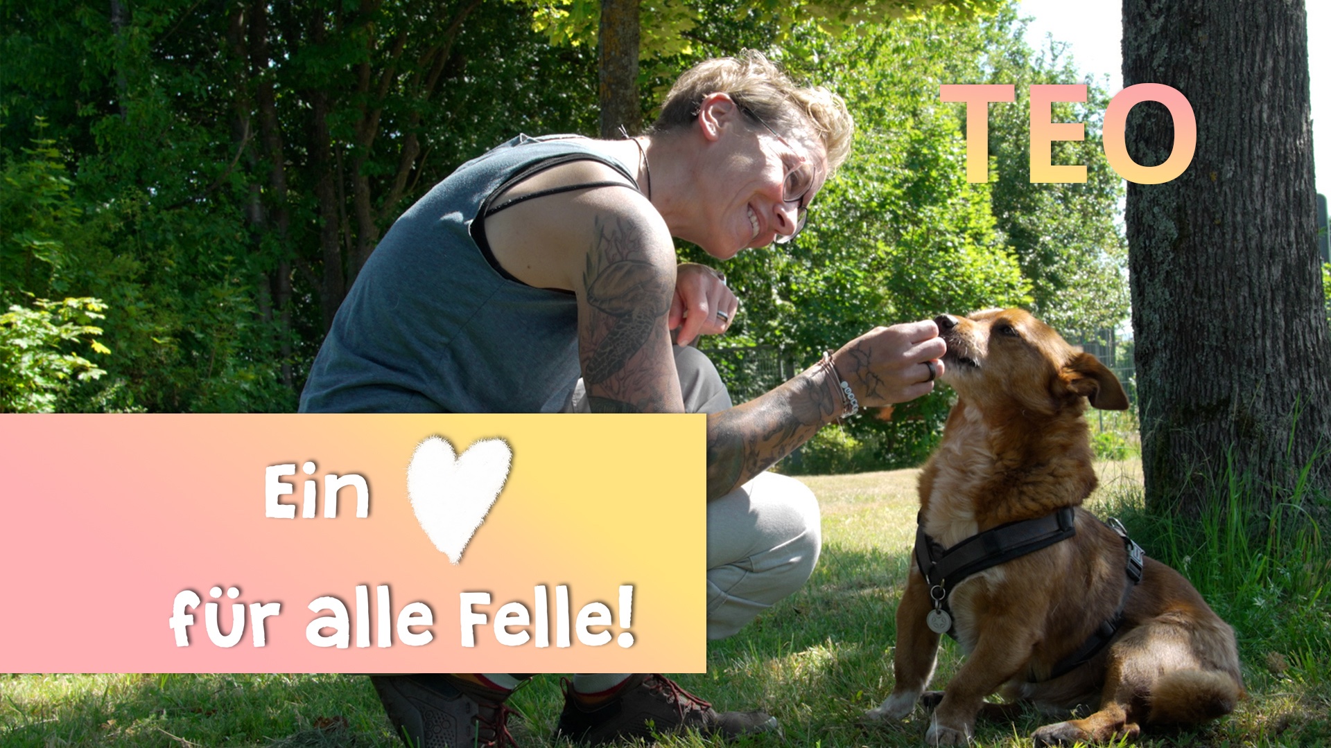 Ein Herz für alle Felle - Tee