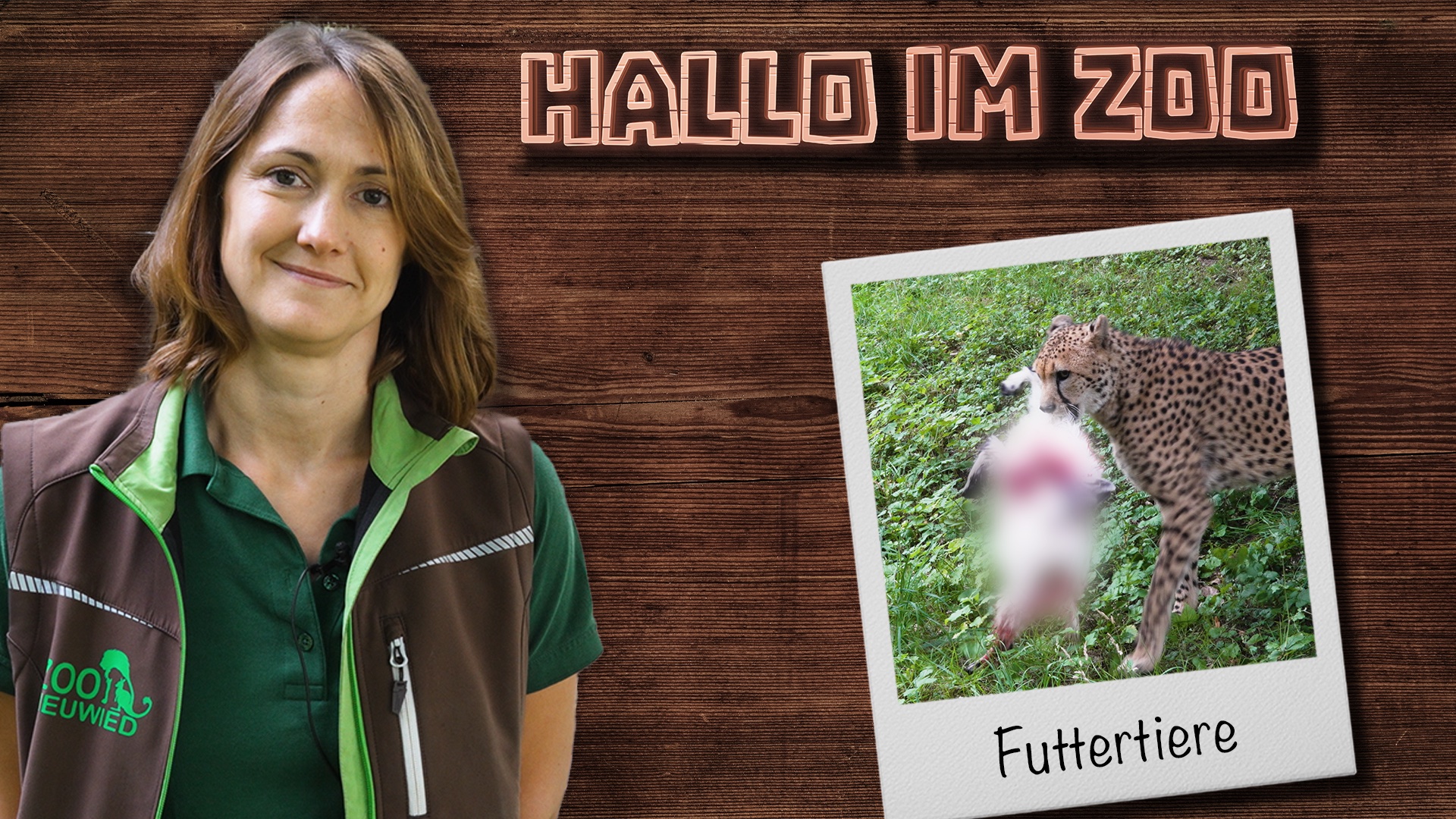Ganzkörperfütterung aus eigener Haltung im Zoo Neuwied