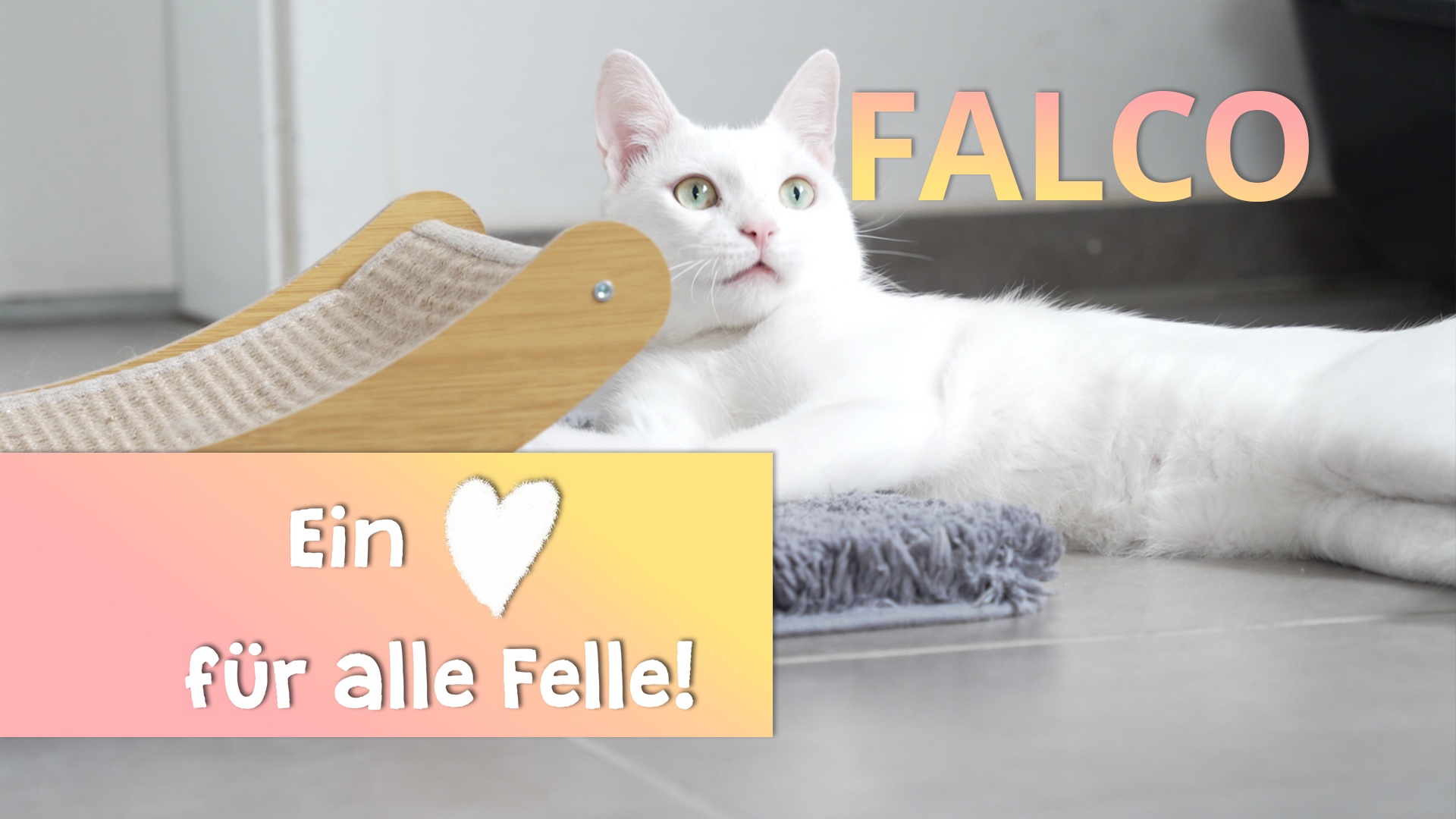 Ein Herz für alle Felle - Falco