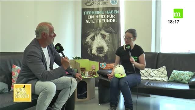 Live ab 6 - Die ganze Sendung vom 11.09.2022