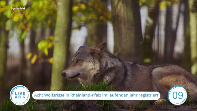 Die Top-Nachrichten des Tages | 23.06.2023