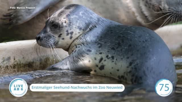 Die Top-Nachrichten des Tages | 22.06.2023