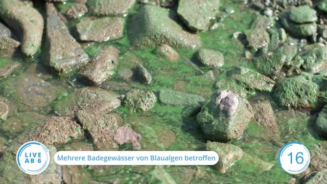Die Top-Nachrichten des Tages | 11.08.2023